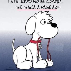 Meet your Posher, Carlos